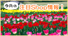 指定店を順にご紹介いたします